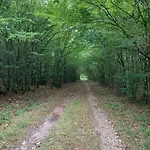 Serenida