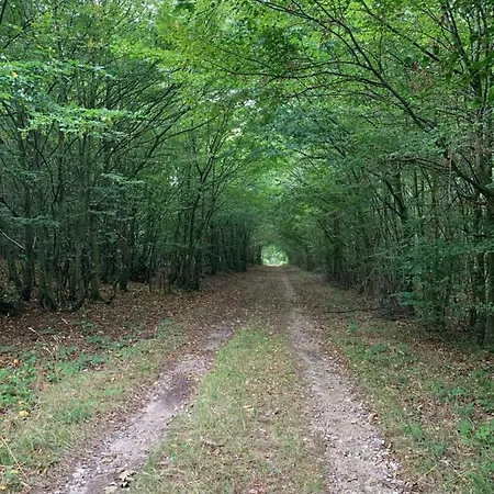 Serenida